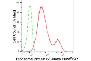 Flow cytometric analysis of ribosomal protein S8 expression in HepG2 cells using ribosomal protein S8 antibody (ABIN7800236), 1:2,000). (Rekombinanter RPS8 Antikörper)