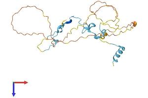 CDC42EP3 Protein (AA 1-254) (His tag)