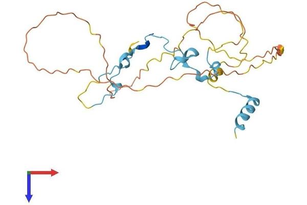 CDC42EP3 Protein (AA 1-254) (His tag)