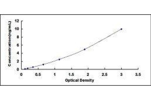 Prolactin ELISA Kit