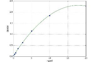 A typical standard curve