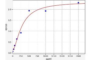 Typical standard curve (Dihydrofolate Reductase ELISA Kit)