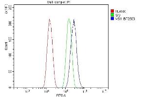 Flow Cytometry analysis of A549 cells using anti-MSI1 antibody (ABIN7601349).