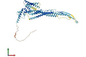 Protein Structure (PS) image for Osteoclast Stimulatory Transmembrane Protein (OCSTAMP) (AA 1-498) protein (His tag) (ABIN7561030)
