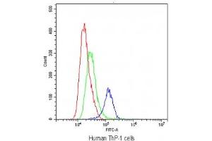 Flow cytometry testing of human ThP-1 cells with TLR1 antibody at 1ug/10^6 cells (blocked with goat sera) (TLR1 Antikörper)