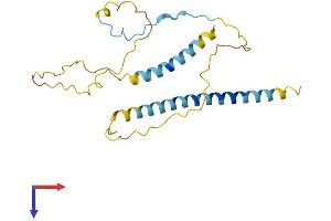 RCAS1 Protein (AA 1-213) (His tag)