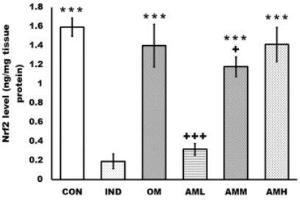 Amentoflavone inhibits the oxidative stress and activates the Nrf2/HO-1 cascade of the rats’ gastric mucosa. (NRF2 ELISA Kit)
