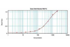 Image no. 2 for anti-Chemokine (C-C Motif) Ligand 7 (CCL7) antibody (ABIN465455) (CCL7 Antikörper)