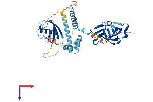 DDI1 Protein (AA 1-408) (His tag)