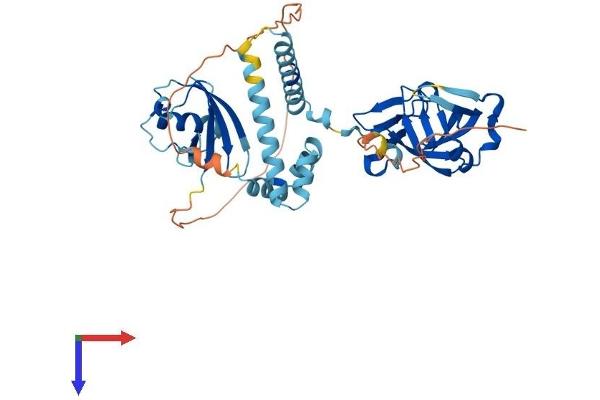 DDI1 Protein (AA 1-408) (His tag)