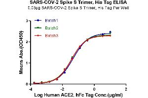 Immobilized SARS-COV-2 Spike S Trimer at 0. (SARS-CoV-2 Spike Protein (Trimer) (His-Avi Tag))