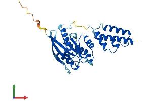 Protein Structure (PS) image for DnaJ (Hsp40) Homolog, Subfamily C, Member 27 (DNAJC27) (AA 1-273) protein (His tag) (ABIN7559310)