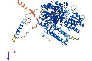 Transferrin Receptor 2 Protein (TFR2) (AA 1-798) (His tag)
