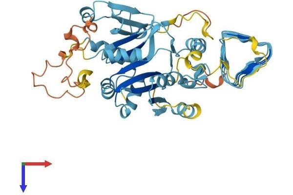 EIF2B3 Protein (AA 1-452) (His tag)