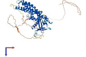 ARHGEF3 Protein (AA 1-526) (His tag)