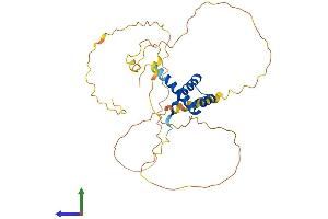 Protein Structure (PS) image for Homeobox D11 (HOXD11) (AA 1-323) protein (His tag) (ABIN7562988)