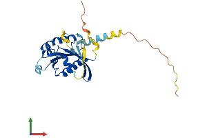 Protein Structure (PS) image for RAB, Member of RAS Oncogene Family-Like 2A (RABL2A) (AA 1-228) protein (His tag) (ABIN7551164)