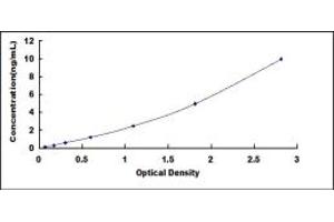 Collagen Triple Helix Repeat Containing 1 (CTHRC1) ELISA Kit