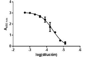 Indirect ELISA (GM2A Antikörper  (Isoform 1))