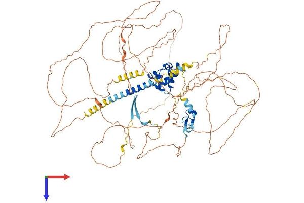 PHC2 Protein (AA 1-858) (His tag)