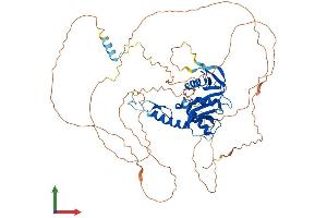 Protein Structure (PS) image for Establishment of Cohesion 1 Homolog 2 (ESCO2) (AA 1-601) protein (His tag) (ABIN7553818)