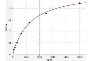 PFN1 ELISA Kit