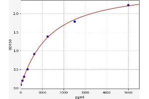 Typical standard curve (PFN1 ELISA Kit)