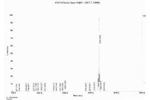 Image no. 3 for Corticotropin Releasing Hormone (CRH) peptide (Ovalbumin) (ABIN5666138) (Corticotropin Releasing Hormone (CRH) peptide (Ovalbumin))