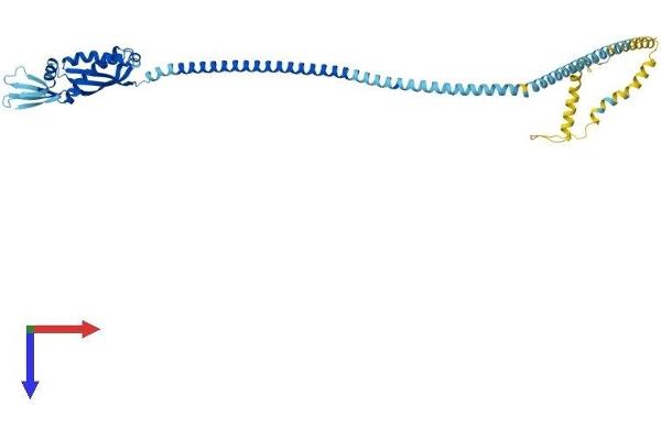 Flotillin 1 Protein (FLOT1) (AA 1-428) (His tag)