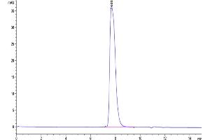 Size-exclusion chromatography-High Pressure Liquid Chromatography (SEC-HPLC) image for Glycoprotein A33 (Transmembrane) (GPA33) (AA 22-235) protein (His-Avi Tag,Biotin) (ABIN7274767)