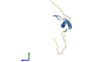 Protein Structure (PS) image for Prefoldin Subunit 2 (PFDN2) (AA 1-154) protein (His tag) (ABIN7562584)