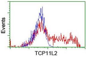 HEK293T cells transfected with either RC207129 overexpress plasmid (Red) or empty vector control plasmid (Blue) were immunostained by anti-TCP11L2 antibody (ABIN2453874), and then analyzed by flow cytometry. (TCP11L2 Antikörper)