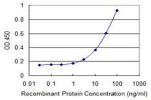 Detection limit for recombinant GST tagged ATXN7L1 is 1 ng/ml as a capture antibody. (ATXN7L1 Antikörper  (AA 1-146))