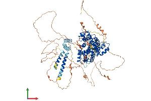 AlphaFold protein structure predicition of Human Recombinant PDE4A Protein, UniprotID P27815