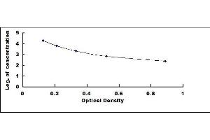 Procollagen Type I Propeptide ELISA Kit