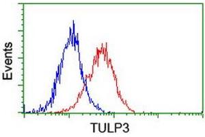 Flow cytometric Analysis of Hela cells, using anti-TULP3 antibody (ABIN2455526), (Red), compared to a nonspecific negative control antibody, (Blue). (TULP3 Antikörper)