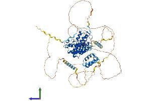 Protein Structure (PS) image for Bromodomain Containing 3 (BRD3) (AA 1-726) protein (His tag) (ABIN7559503)