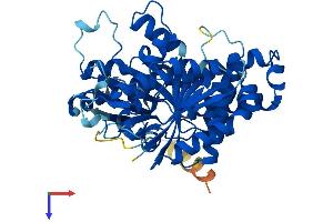 TUBB2A Protein (AA 1-445) (His tag)