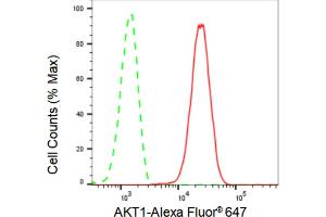 Flow cytometric analysis of AKT1 expression in C2C12 cells using AKT1 antibody (ABIN7800783), 1:2,000).