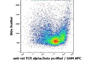 Flow cytometry surface staining pattern of rat thymocyte suspension stained using anti-rat TCR alpha/beta (R73) purified antibody (concentration in sample 1.
