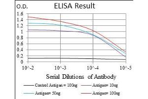 Black line: Control Antigen (100 ng), Purple line: Antigen(10 ng), Blue line: Antigen (50 ng), Red line: Antigen (100 ng), (ACP5 Antikörper  (AA 221-325))