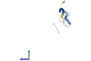 Protein Structure (PS) image for Rab Interacting Lysosomal Protein (RILP) (AA 1-369) protein (His tag) (ABIN7557488)