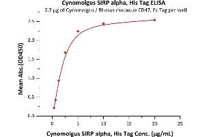 Immobilized Cynomolgus / Rhesus macaque CD47, Fc Tag (ABIN4949053,ABIN4949054) at 2 μg/mL (100 μL/well) can bind Cynomolgus SIRP alpha, His Tag (ABIN5955016,ABIN6253574) with a linear range of 0.