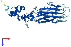 FBXO44 Protein (AA 1-255) (His tag)