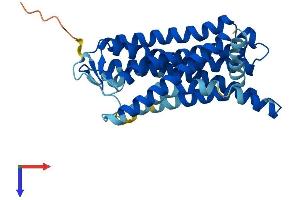 AlphaFold protein structure predicition of Human Recombinant OR8H1 Protein, UniprotID Q8NGG4 (OR8H1 Protein (AA 1-311) (His tag))