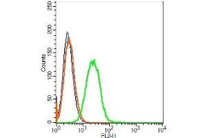 Raji cells probed with 	CD45 Polyclonal Antibody, Unconjugated  at 1:20 for 30 minutes followed by incubation with a conjugated secondary (PE Conjugated) (green) for 30 minutes compared to control cells (blue), secondary only (light blue) and isotype control (orange).