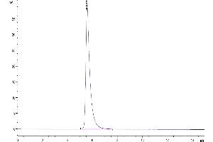 Size-exclusion chromatography-High Pressure Liquid Chromatography (SEC-HPLC) image for Leukemia Inhibitory Factor Receptor alpha (LIFR) (AA 45-833) protein (His tag) (ABIN7275152)