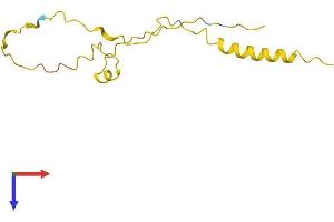 TNP2 Protein (AA 1-117) (His tag)