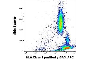 Flow cytometry surface staining pattern of human peripheral whole blood stained using anti-HLA Class I (MEM-81) purified antibody (concentration in sample 1 μg/mL) GAM APC.