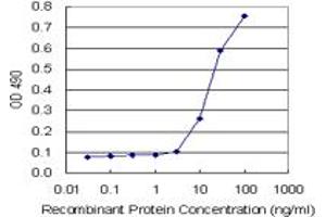 Sandwich ELISA detection sensitivity ranging from 1 ng/mL to 100 ng/mL. (APLN (Human) Matched Antibody Pair)